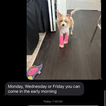 Kinder 4 Rescue - Texted them an update and got nothing but a ' you can come in the early morning' and that is exactly what I did just to not be seen.. - Veterinarians Near Me - North Hollywood, California Kinder 4 Rescue - Texted them an update and got nothing but a ' you can come in the early morning' and that is exactly what I did just to not be seen.. - Veterinarians Near Me - North Hollywood, California