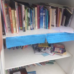 Giant Free Library