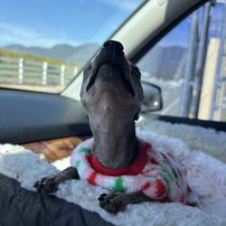 Devore Animal Shelter