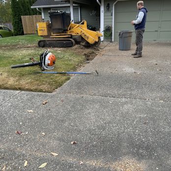 Cloudy Sky Tree Service - The remote controlled stump grinder. I was very impressed. - Tree Services Near Me Cloudy Sky Tree Service - The remote controlled stump grinder. I was very impressed. - Tree Services Near Me