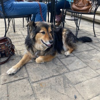 The Windmill Bistro - Pooch - Breakfast & Brunch Near Me - Sumner, Washington The Windmill Bistro - Pooch - Breakfast & Brunch Near Me - Sumner, Washington