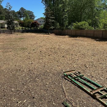 Mora's Tree Services - After - Tree Services Near Me - Marietta, Georgia