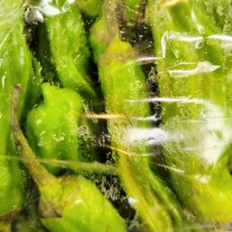 Shishito pepper - 1 in 10 is spicy; pepper roulette! Shishito pepper - 1 in 10 is spicy; pepper roulette!