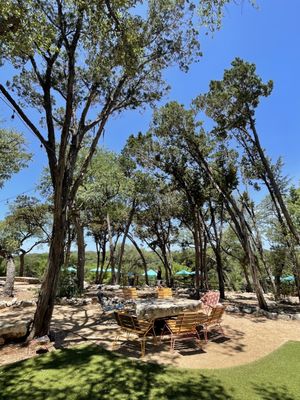 The Shady Llama by null