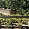 Micke Grove Park gift card