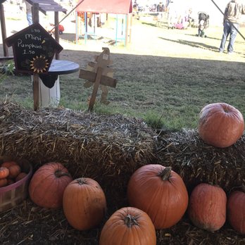 Pumpkin Town - Festivals Near Me - Tulsa, Oklahoma