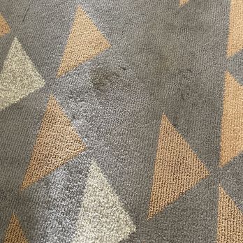 Holiday Inn & Suites Lima - Carpet in room - not much better than the stairs. - Venues & Event Spaces Near Me - Lima, Ohio