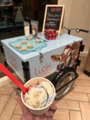 Lick Honest Ice Creams by null