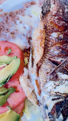 Taqueria Santa Cruz by null