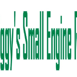 Ziggy’s Small engine repair