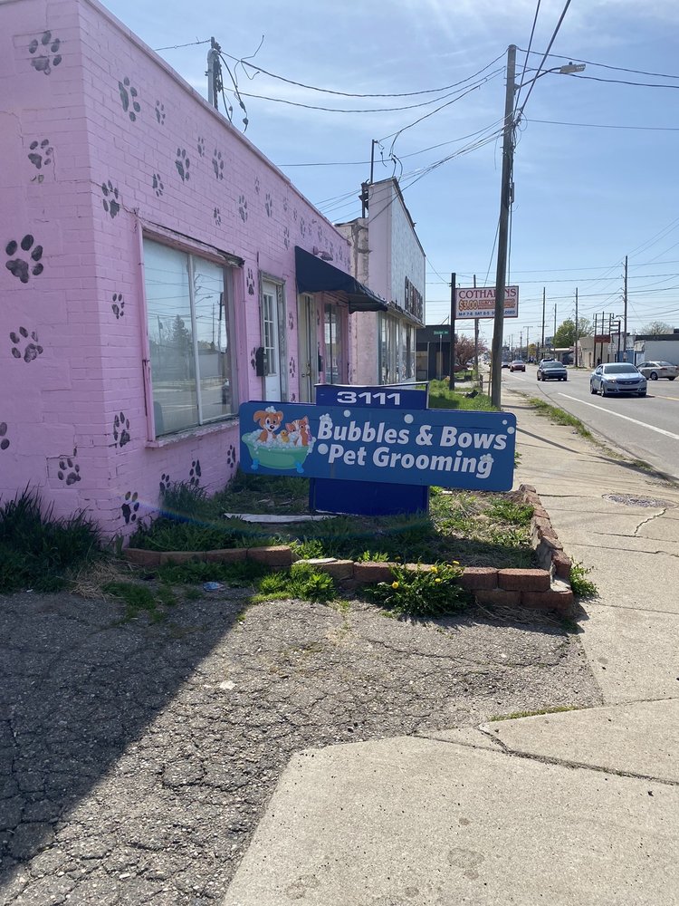 BUBBLES & BOWS GROOMING SALON Updated October 2024 10 Photos 3111