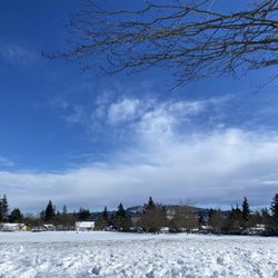 Harney Park