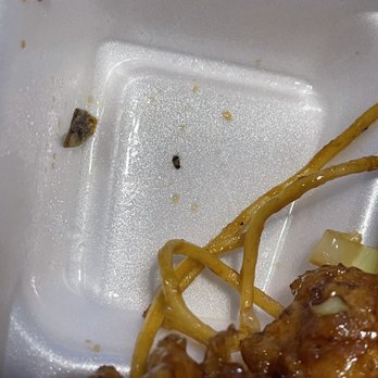 Panda Express - That's a damn roach!!!! I'm pisseddd - Chinese Near Me - San Antonio, Texas