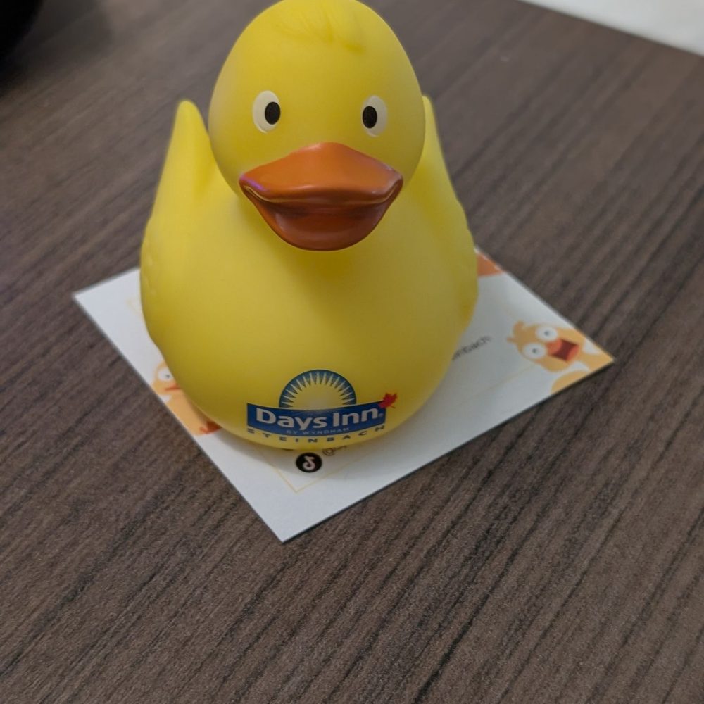 Days Inn - Just ducky! - Hotels Near Me - Steinbach, Manitoba