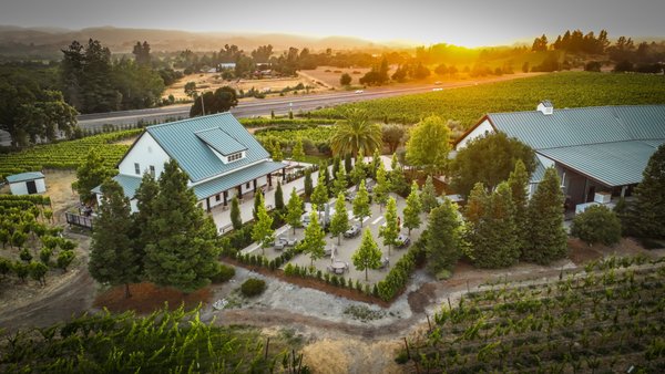 Merriam Vineyards by null