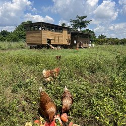Coastal Pastures Farm