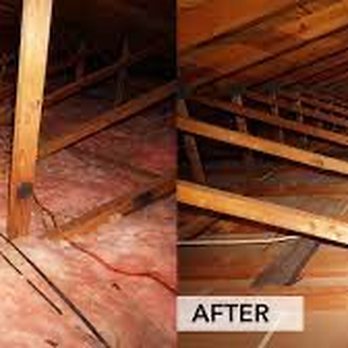 Stealth Environmental - Rodent Clean-Up In Attic - Pest Control Near Me Stealth Environmental - Rodent Clean-Up In Attic - Pest Control Near Me