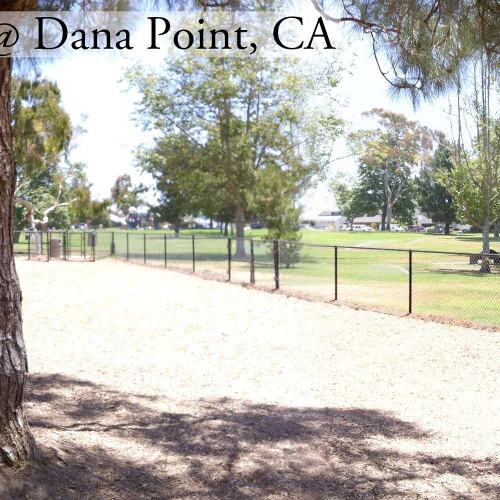 Sea Canyon Park - The "Dog Fun Zone" - Parks Near Me - Dana Point, California Sea Canyon Park - The "Dog Fun Zone" - Parks Near Me - Dana Point, California