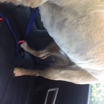 PetSmart - Pet Training Near Me - Dallas, Texas PetSmart - Pet Training Near Me - Dallas, Texas