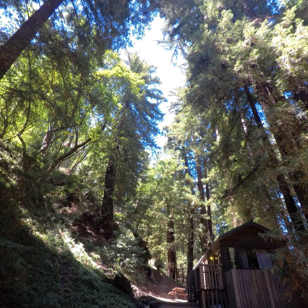 Big Sur Guides and Hiking - Hiking Near Me
