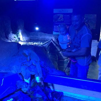Austin Aquarium - Aquariums Near Me - Austin, Texas