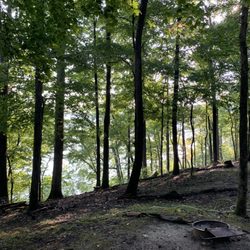 Lake Barkley State Park Campground - View from rear of camper pad, overlooking Lake Barkley.