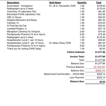 A-Z Dogs - Here is one of the animal hospital bills from his first overnight stay. - Pet Training Near Me A-Z Dogs - Here is one of the animal hospital bills from his first overnight stay. - Pet Training Near Me