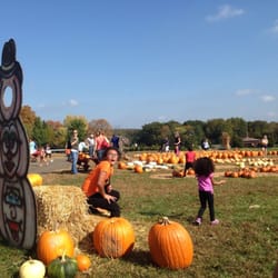 Condurso's Garden Center & Farm Market