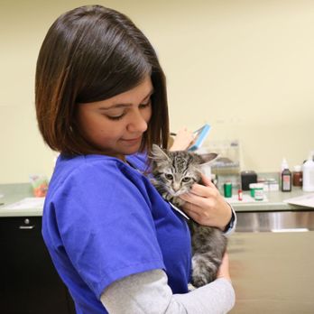 VIP Petcare Wellness Center - Veterinarians Near Me - Novato, California VIP Petcare Wellness Center - Veterinarians Near Me - Novato, California