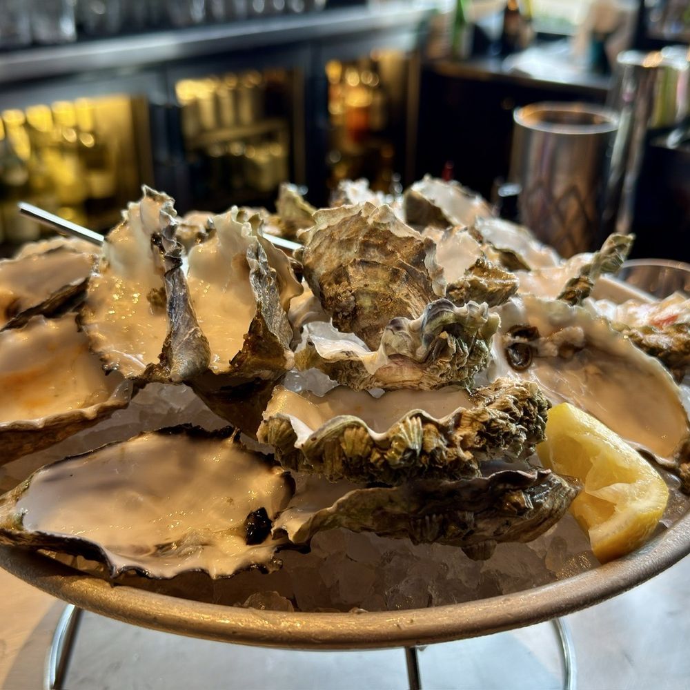 Waterbar - nothing but the shells - Seafood Near Me - San Francisco, California Waterbar - nothing but the shells - Seafood Near Me - San Francisco, California