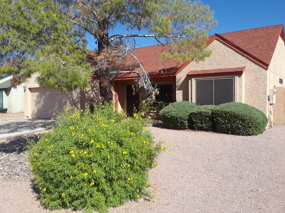 Bountiful Lawncare - tree service in Mesa, AZ