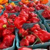 Husted's Farm Market gift card