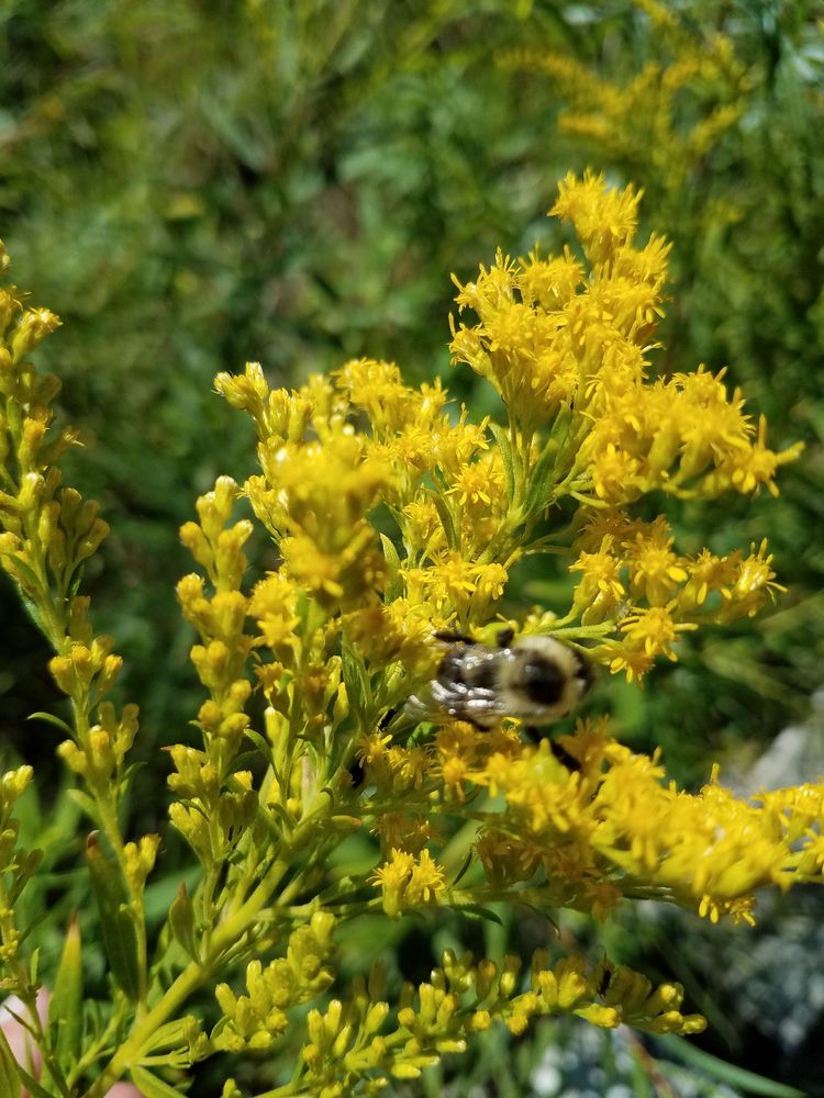 BUSH LAKE PARK 63 Photos Parks 9140 E Bush Lake Rd, Bloomington