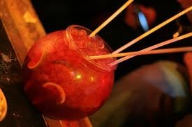 Bourbon Cantina by null