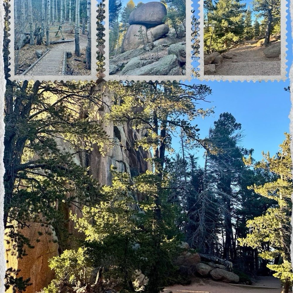 Devils Head Fire Tower - More views from the hike - Hiking Near Me - Sedalia, Colorado