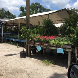 Johnson Family Farms - Great Produce and Beautiful plants for sale