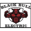 Slide of Black Bull Electric