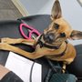 Photo of Best Friends Pet Hospital