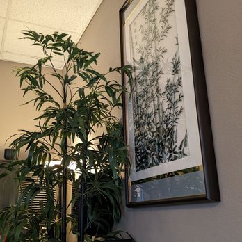 Happy Bamboo - a picture of a plant in a living room - Asian Fusion Near Me - Portland, Oregon