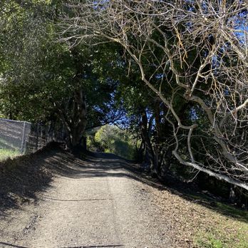Martin Canyon Creek Trail - City Trail - Hiking Near Me - Dublin, California
