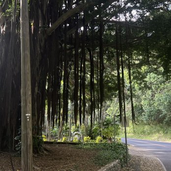 Kepaniwai Park - Parks Near Me - Wailuku, Hawaii Kepaniwai Park - Parks Near Me - Wailuku, Hawaii