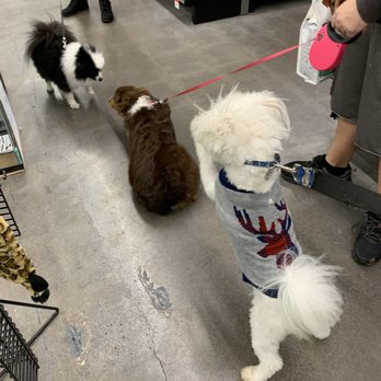 Pet Supplies Plus Chili - Pet Stores Near Me - Rochester, New York