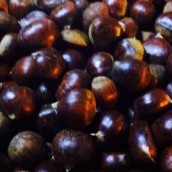 Mercato del Tartufo Nero - Sua maestà la Castagna