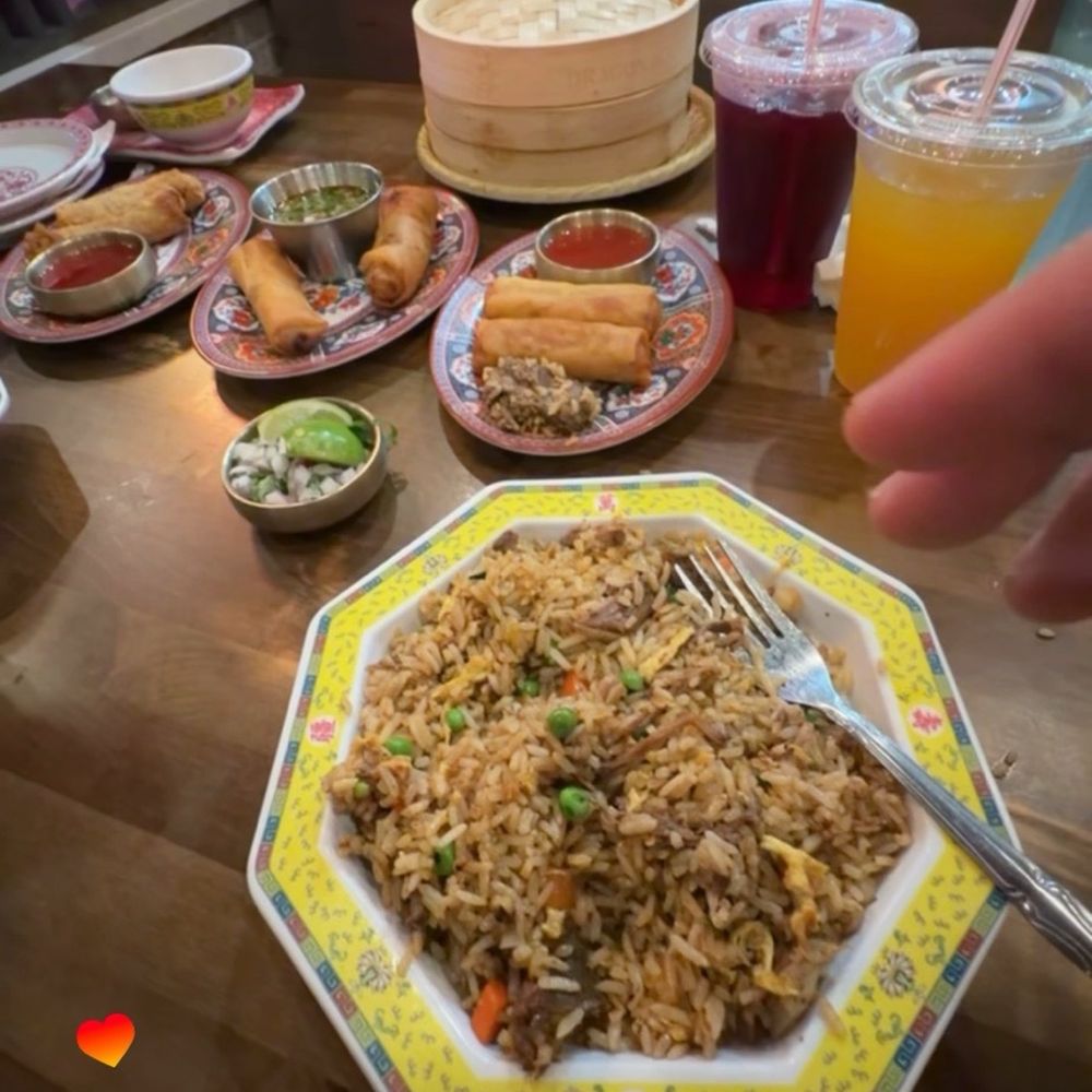 Birria fried rice, Birria eggrolls, Birria dumplings, veggie egg rolls, chicken egg rolls.