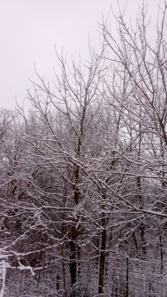 The Recovery Center of Ohio - Dayton - grief counselor in Dayton, OH