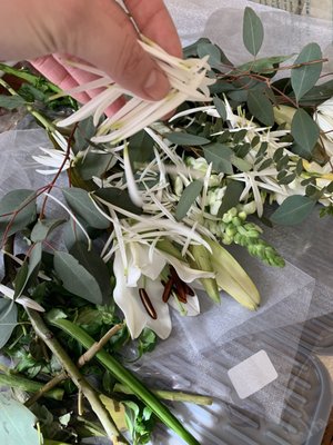 Whole Foods Market by null