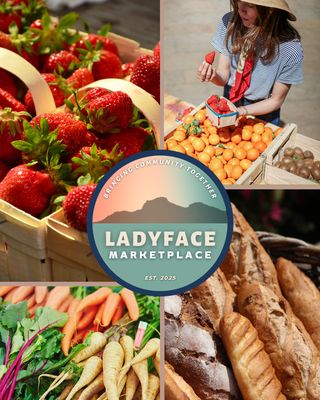 Agoura Hills Ladyface Marketplace by null
