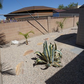 Marins Landscaping - Desert Oasis - Agave - Landscaping Near Me