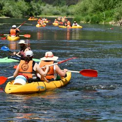 O Pioneiro do Mondego - Kayak tours Portugal - The best kayaking in Portugal: Mondego river