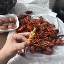 Super C- Three Dads Cooking - Best of the best. Great customer service too!!! You won't disappoint this gulf coast joint